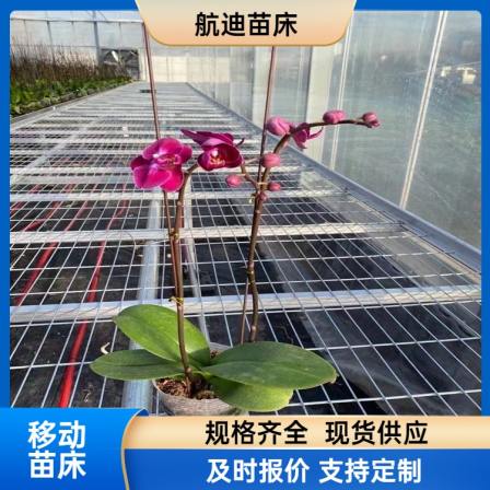 Hot dip galvanized mesh movable seedbed for greenhouse planting of Phalaenopsis, manufactured by Hangdi with excellent quality