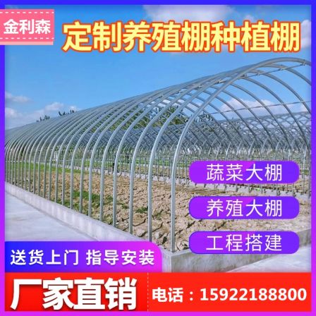 Jinlisen Steel Pipe Greenhouse Pipe Bending Vegetable Breeding Sunlight Greenhouse Greenhouse Multi span Arch Canopy Galvanized Round Pipe