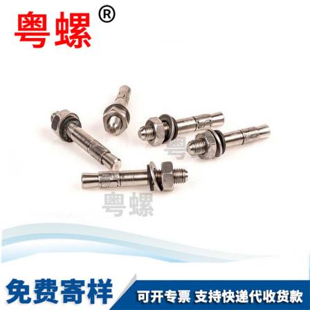 Guangdong Screw Wholesale High Strength Screw Stainless Steel Screw Wall plug