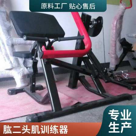 CM-107 Biceps Humerus Training Machine Arm Muscle Commercial Gym Equipment
