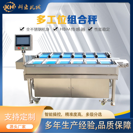 Multi station combination scale, cucumber counterweight scale, high accuracy for weight inspection, customizable online weighing
