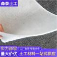 PE Polyethylene Composite Geomembrane EVA One Cloth One Membrane Anti seepage Membrane Sentai Big Brand