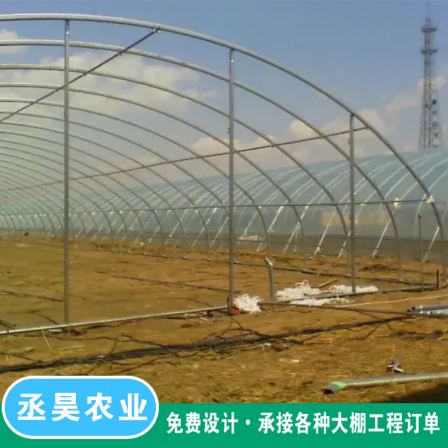 Winter Warm Strawberry Planting Greenhouse Elliptical Pipe Framework Galvanized Flat Pipe with Strong Compression Capacity Spanned Arch Greenhouse
