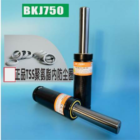 DNR1500-10/TSP01500x010 replaceable BKC15.0-010-064 nitrogen cylinder spring