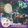 Aquatic feed Clostridium butyricum culture Water transfer Koi fish shrimp crab pond Feed grade bacteria powder