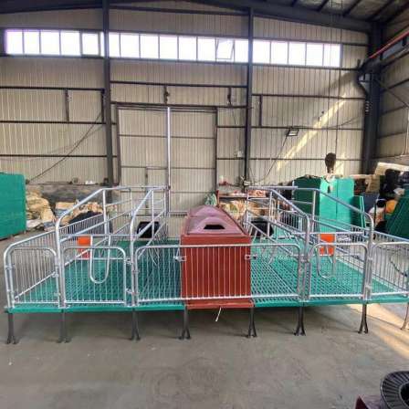 Automated pig farming equipment Hot dip galvanized twin sow production bed material thickened Wangzhu Animal Husbandry