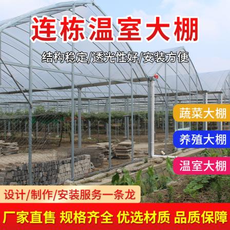 Large span vegetable and fruit arch greenhouse intelligent glass greenhouse with good daylighting performance Taiyouyi