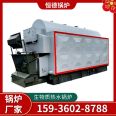 Manufacturer of fully automatic 6-ton coal-fired biomass chain hot water boiler for heating in residential bathing coal mines