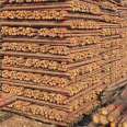 The specifications of Yizhan Wood Industry's river fir pile flood prevention and anti-corrosion products can be selected