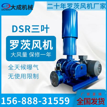 DSR175 Roots blower desulfurization and denitrification pneumatic conveying for environmental protection with high air volume and corrosion resistance