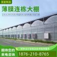 Construction of Vegetable Greenhouses in Thin Film Greenhouses for Agricultural High Temperature Greenhouses Utilizing Large Space and Good Lighting