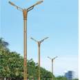 Customization of New Double Arm Solar LED Street Lamp for Rural Outdoor Road Lighting in Xinyonghong Community