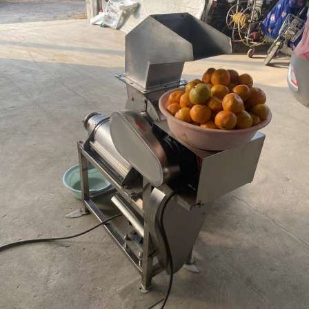 Lemon Fruit Juicing Machine Spiral Squeeze Juicing Machine Luqiang Supply Crushing Juicing Equipment
