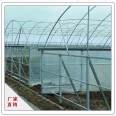 Wind resistant and environmentally friendly pig and chicken farming, animal husbandry, greenhouse farming, ecological single cell farming, greenhouse wholesale sales