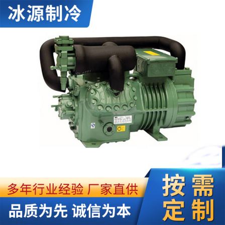 Ice source refrigeration compressor Bizer refrigeration unit 6FE-44 6F-40.2 refrigeration equipment in cold storage