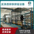 Industrial tap water treatment system EDI reverse osmosis iron and manganese removal water treatment equipment