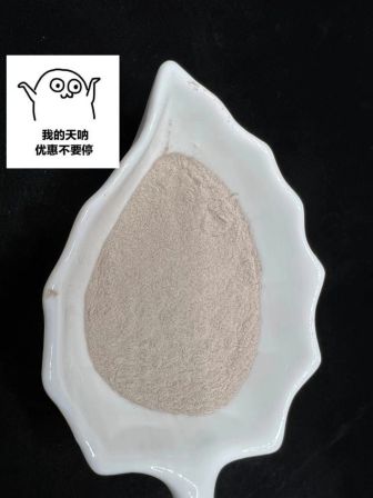 Casting coating, high-temperature resistant high alumina bauxite, refractory material, casting and casting