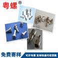 Internal hexagonal step screw anti-theft internal hexagonal screw M5 M6 M8 M10