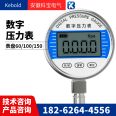 Kebao intelligent precision digital pressure gauge dial 100mm detection/calibration level stainless steel/plastic