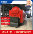 Factory supply DZL6-1.25-T biomass steam boiler chain grate particle industrial boiler