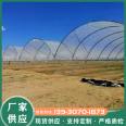 Sheep Horn Rain Shelter: A New Type of Blueberry Grape Rain Shelter with Beautiful, Strong, and Stable Appearance