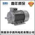 Sigma Flameproof Variable Frequency Speed Control Explosion proof Motor YBBP250M-2-55KW-B3-B5-380V/5-100HZ