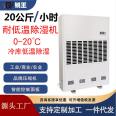 Low temperature resistant dehumidifier 480L high-power RWDW-4881E cold storage factory industrial warehouse dehumidifier Ruiwang