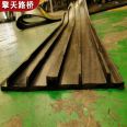 Tunnel construction site, dam waterproofing, steel edge, back stick, medium buried 651 rubber waterstop