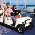 Imported electric golf cart Clubcar Customized multifunctional delivery cart Linen cart Ferry L8