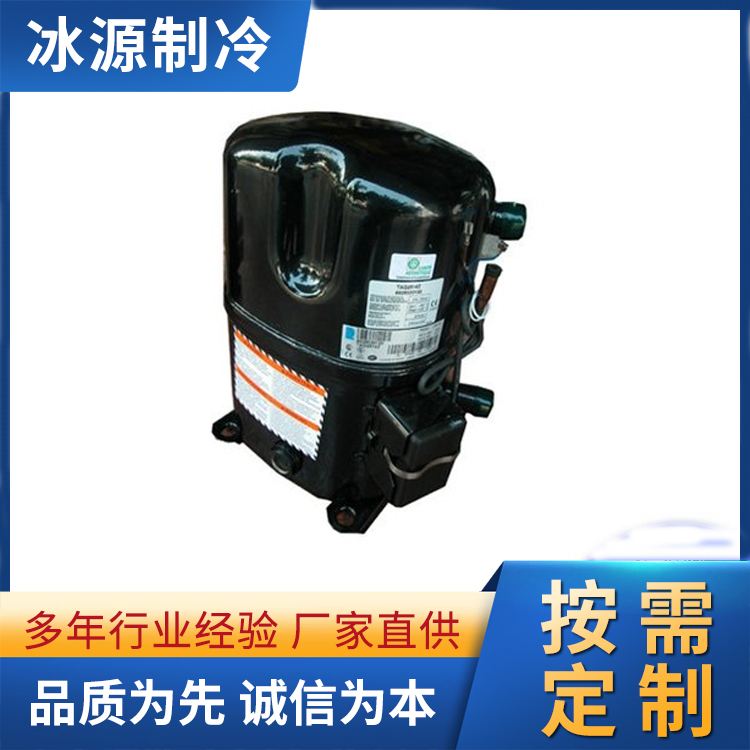 ZW125KS-TFP-522 Heat Pump Compressor for Emerson Grain Wheel Coal to Electric Heat Pump