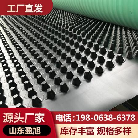 Polyethylene drainage board, three-dimensional concave convex type underground garage drainage, hdpe drainage board for roof greening