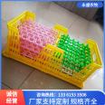 Plastic egg baskets for incubators, egg boxes, egg transport baskets, sturdy and durable