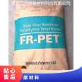 Japan Baoli Flame retardant High Rigid FR-PET CN9030 Plastic Raw Material