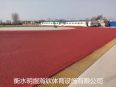 New National Standard Raw Material Breathable Composite Training Ground for Colorful EPDM Particle Kindergarten Plastic Track