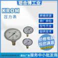 KROM Hockett pressure gauge RFM P10TNB63 connection detection gas pressure switch control