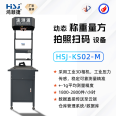 Dynamic scanning weighing and measuring equipment, accurate and efficient dynamic DWS equipment, volume measuring instrument