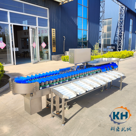 Sea cucumber sorting machine, dynamic weighing of dry and wet seafood, multi-stage sorting, high-precision 0.5 gram error stainless steel