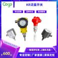 KR explosion-proof flow switch