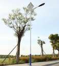 Lu's durable waterproof and anti-corrosion solar street light with high brightness of 6 meters and 8 meters supports customization