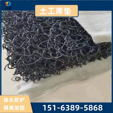 Chuangxing Geomat Tunnel Greening Infiltration Drainage Net Pad 5cm Mesh Interleaved Drainage Board Wrapping Fabric