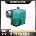 10kV high-voltage motor 200kW-3250kW Sigma YJTFK high-voltage variable frequency motor 246-80 pole B3