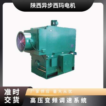 10kV high-voltage motor 200kW-3250kW Sigma YJTFK high-voltage variable frequency motor 246-80 pole B3