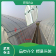 Qingcheng Agricultural Thin Film Greenhouse Greenhouse Construction, Fruit and Vegetable Agricultural Breeding, Large Daylight Area