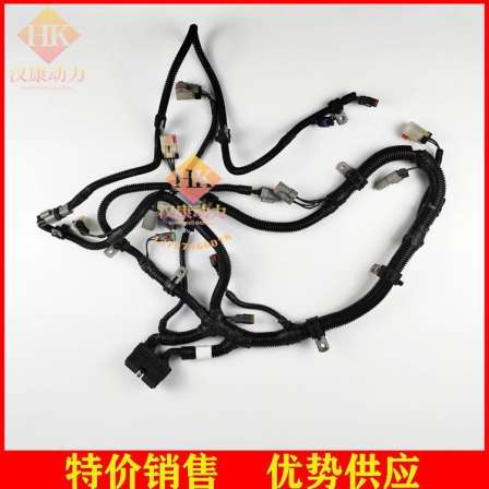 Imported Cummins engine ISDE electronic injection engine module harness 3970310
