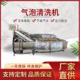 Jujube Bubble Spray Rinsing Large Vegetable, Fruit, Coconut, Garlic and Rice Cleaning Line Multifunctional Vegetable Washing Machine