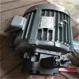 REXPOWER oil pump RBB-2020Y lubricating gear oil pump motor 1HP motor set assembly 0.75KW