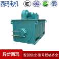 10kV high-voltage motor 200kW-3250kW Sigma YJTFK high-voltage variable frequency motor 246-80 pole B3