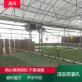 Remote control hanging seedling watering cart for agricultural greenhouse sprinkler irrigation system