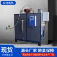 Shuanghong Electric Steam Generator Condensing Low Nitrogen Steam Boiler Automatic Operation Support Customization