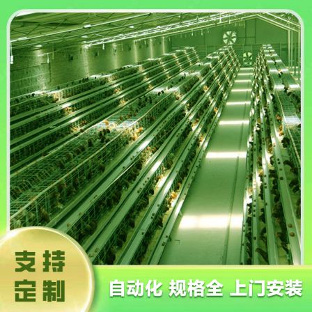 Large scale automated chicken farming equipment Linfen chicken farm equipment Linfen chicken farming equipment Layer chicken farming machinery Layer chicken meat chicken farming equipment What are the laboratory instruments in the chicken farm